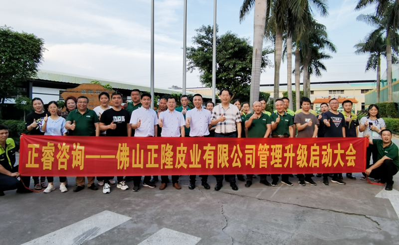 助力皮革行業(yè)再樹標(biāo)桿——正隆皮業(yè)全面管理升級(jí)項(xiàng)目啟動(dòng)！