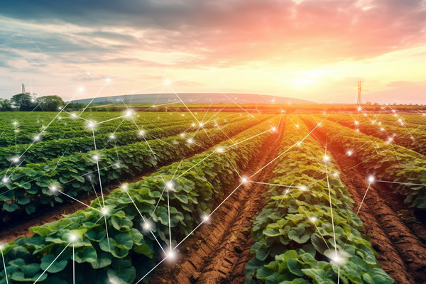 「咨詢公司」供應(yīng)鏈管理的目的和意義是什么？