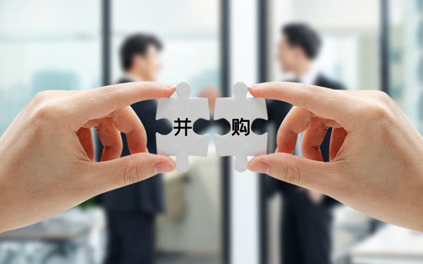 戰(zhàn)略投資與并購(gòu)：拓展企業(yè)規(guī)模，增強(qiáng)市場(chǎng)競(jìng)爭(zhēng)力