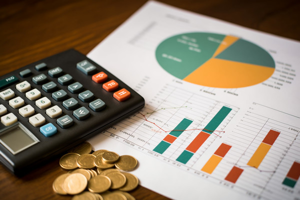 強化集團管控：財務，人力資源，信息技術(shù)的整合