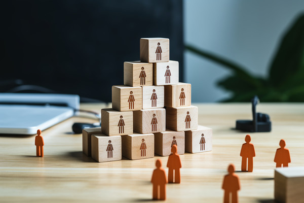 強(qiáng)化集團(tuán)管控：財(cái)務(wù)，人力資源，信息技術(shù)的整合