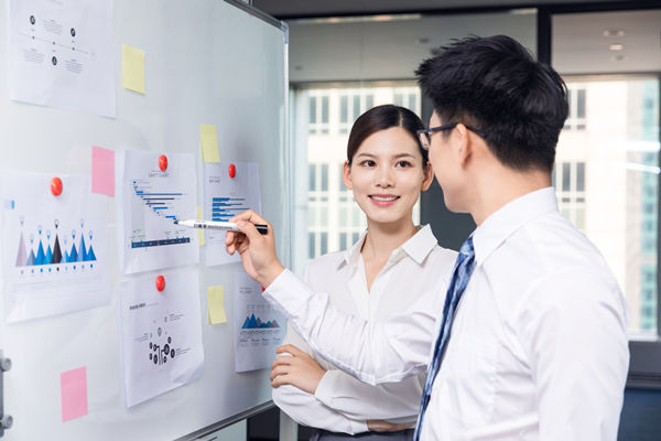 組織咨詢：協(xié)助企業(yè)制定組織發(fā)展戰(zhàn)略，推動組織成長