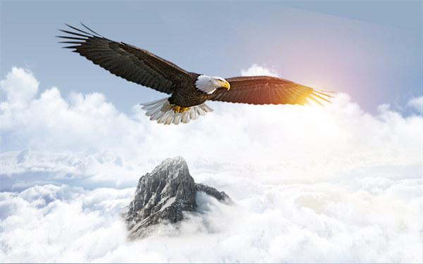 組織規(guī)劃引領企業(yè)變革，塑造全新管理模式與未來