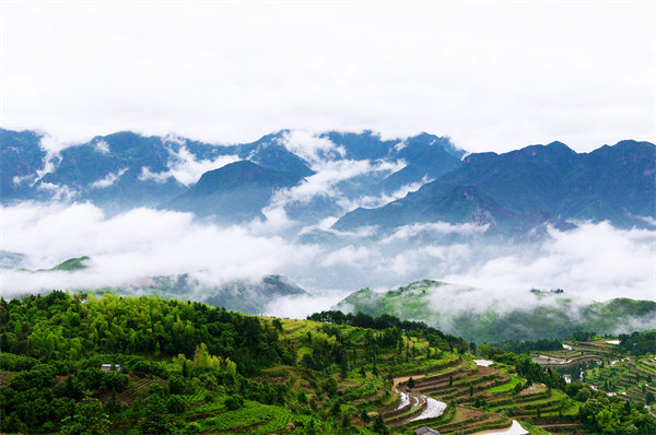 管理咨詢?nèi)绾沃刂萜髽I(yè)戰(zhàn)略規(guī)劃落地？