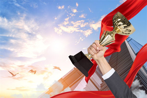 如何確保戰(zhàn)略規(guī)劃與企業(yè)文化及價(jià)值觀(guān)相契合？