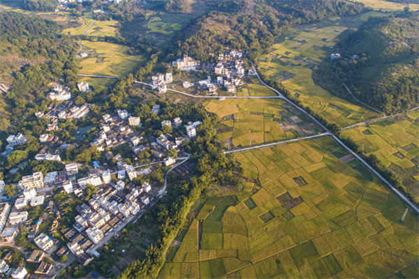 肇慶預(yù)算管理咨詢公司如何為企業(yè)構(gòu)建精細(xì)化的預(yù)算體系？