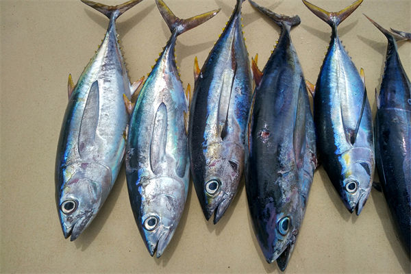 商務(wù)部：將幫助外貿(mào)企業(yè)擴(kuò)寬內(nèi)銷(xiāo)渠道，政策解讀！