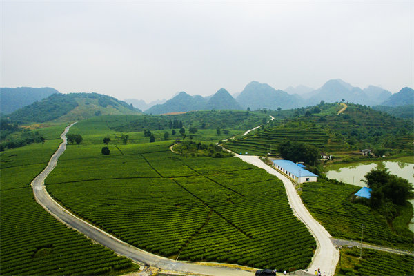 清遠(yuǎn)營(yíng)銷(xiāo)咨詢公司深挖需求，如何為品牌打造直擊消費(fèi)痛點(diǎn)的賣(mài)點(diǎn)？