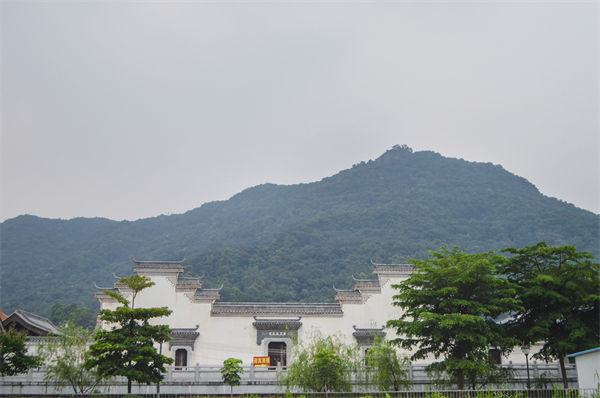 子公司各自為戰(zhàn)內(nèi)耗大，佛山集團(tuán)管控咨詢公司有何整合之道？