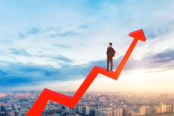 績效管理咨詢公司，能幫企業(yè)建立以結果為導向的體系嗎？