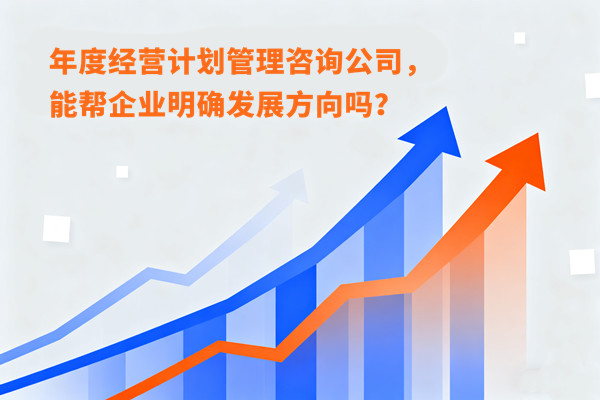 年度經(jīng)營(yíng)計(jì)劃管理咨詢公司，能幫企業(yè)明確發(fā)展方向嗎？