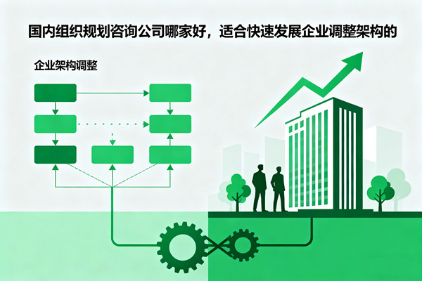 國(guó)內(nèi)組織規(guī)劃咨詢公司哪家好，適合快速發(fā)展企業(yè)調(diào)整架構(gòu)的