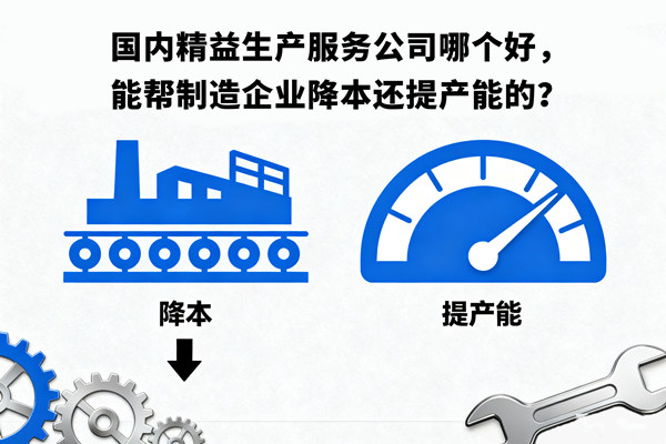 國(guó)內(nèi)精益生產(chǎn)服務(wù)公司哪個(gè)好，能幫制造企業(yè)降本還提產(chǎn)能的？