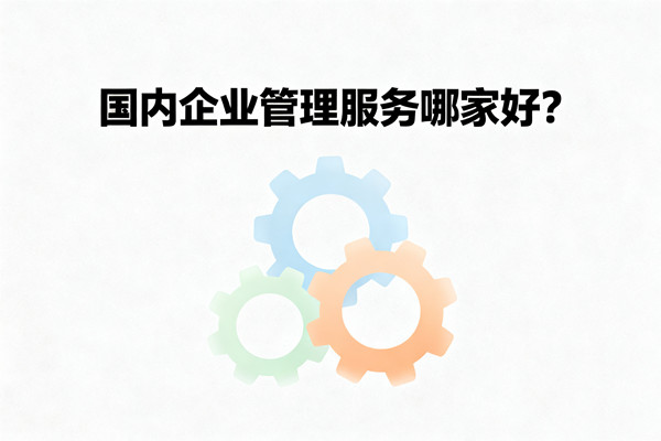 國內(nèi)企業(yè)管理服務(wù)哪家好？